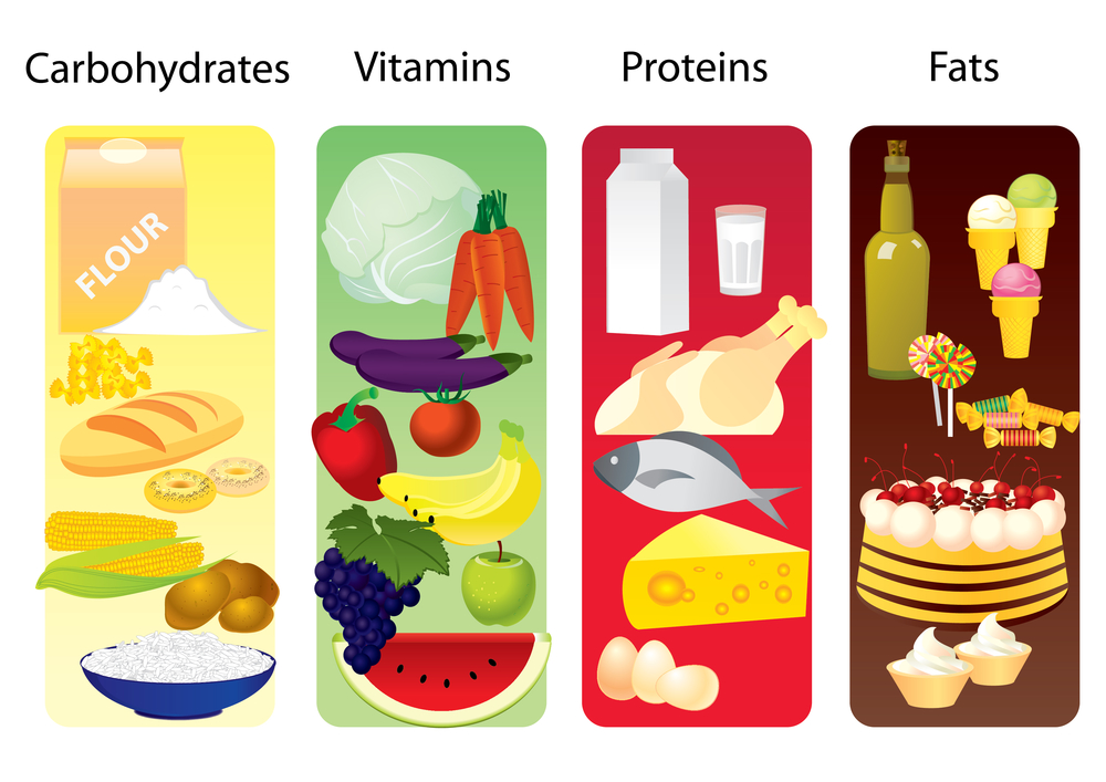Skladniki odzywcze - Zdrowa porcja